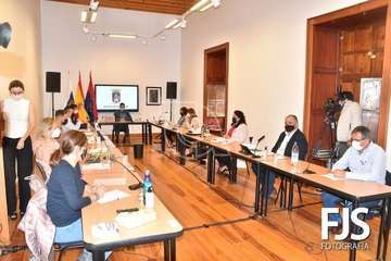 Sesión plenaria del mes de noviembre de 2020/TA y Francisco Javier Santana.